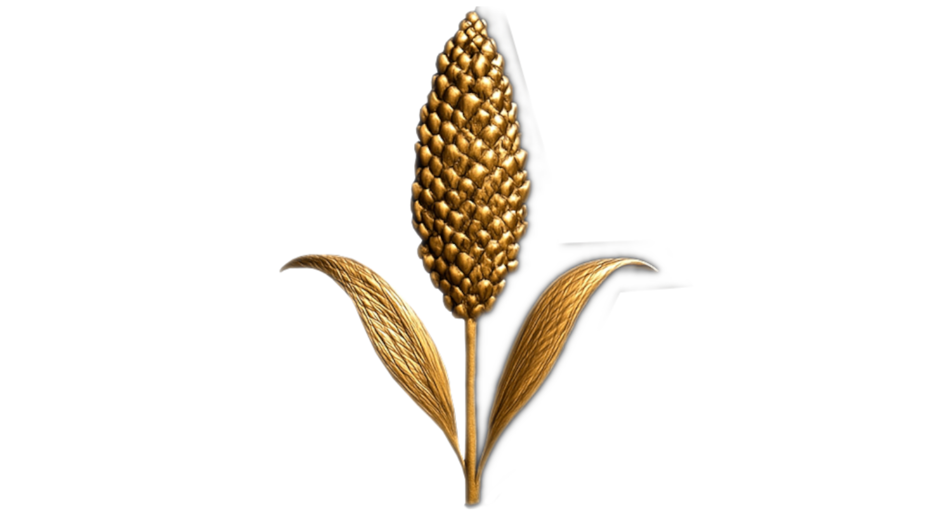 KUNAMA OFFICIAL logo